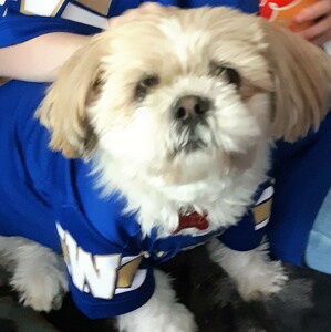 Fundraising Page: Melody Smith